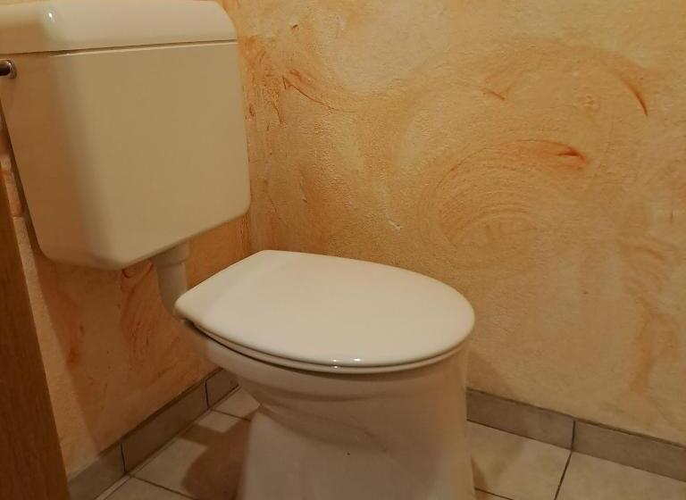 バス共有のスタンダードルーム, Almgasthof Spitzer