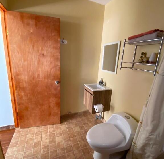 Четырехместный Номер Стандарт Вид на Сад, Hostal Don Felix