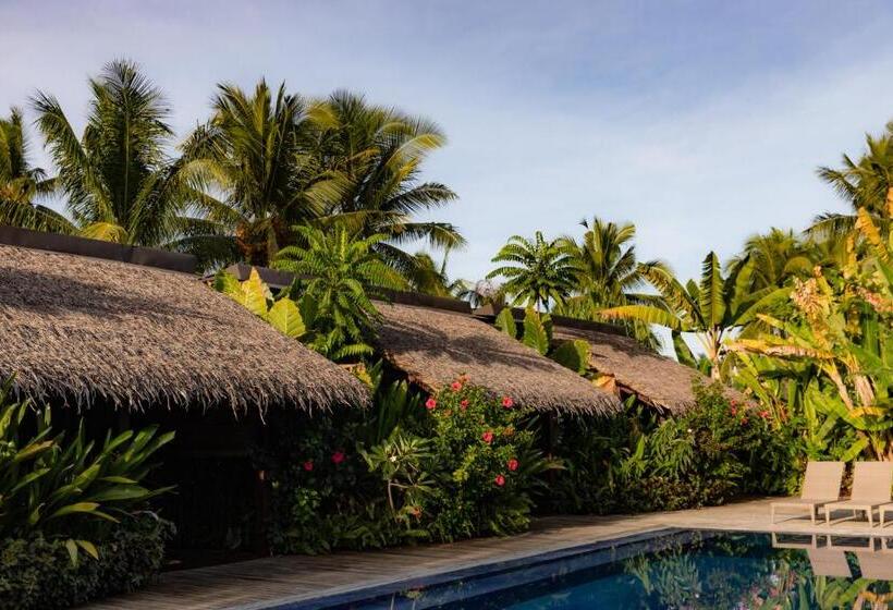 اتاق خانوادگی, Kajali Siargao