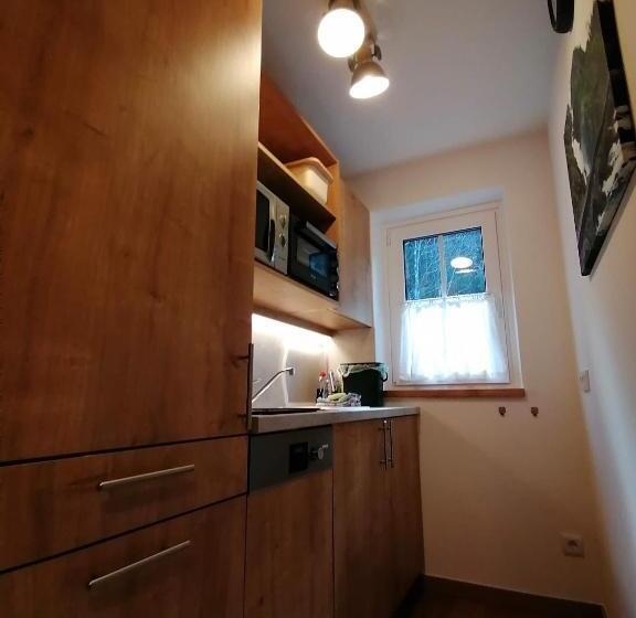 バルコニー付き１ベッドルームアパートメント, Haus Bergliebe