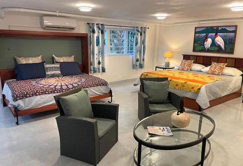 디럭스 스위트 킹 침대, Aracari Lodge & Jungalows