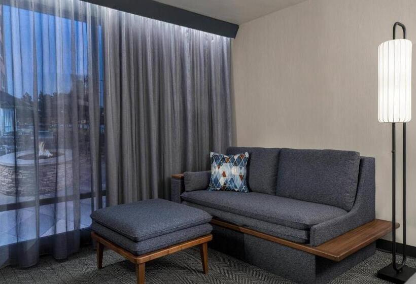 스탠다드 도시전망 룸, Courtyard by Marriott Bettendorf