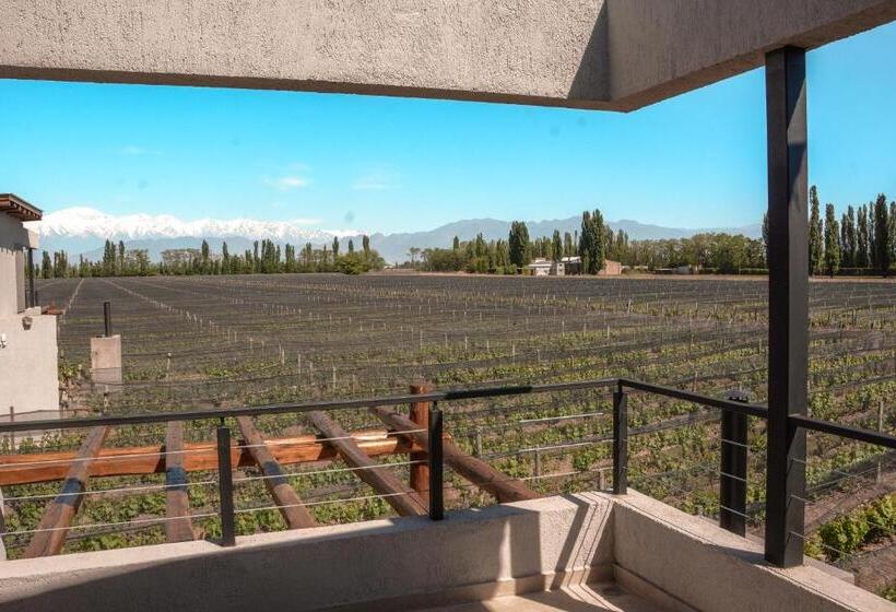 스탠다드 룸, Agrelo Vines Lodge