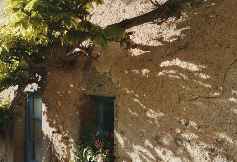 Номер Стандарт, Guestroom Saint André De Najac, 1 Pièce, 2 Personnes   Fr 1 601 449