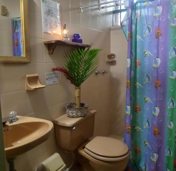 Номер Стандарт, Casa Vitall