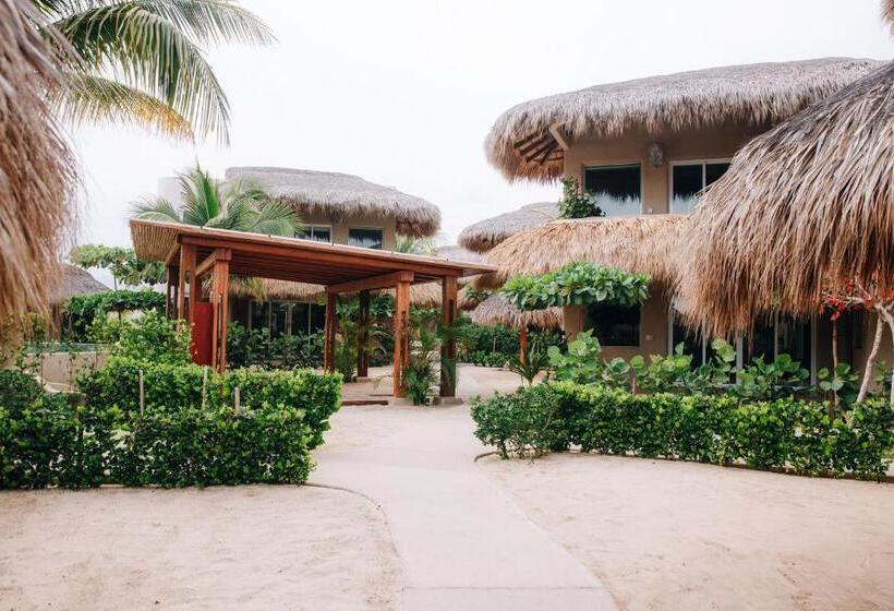 テラス付き１ベッドルームアパートメント, El Origen Villas & Spa Puerto Escondido