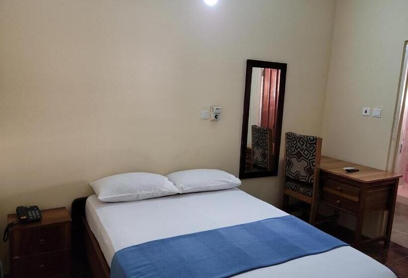 标准单人间, Loreto Palm Villa