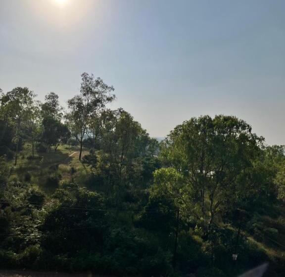 行政套房, Forest Breeze Inn