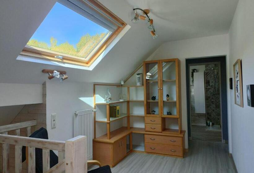 Номер Стандарт, Serenity