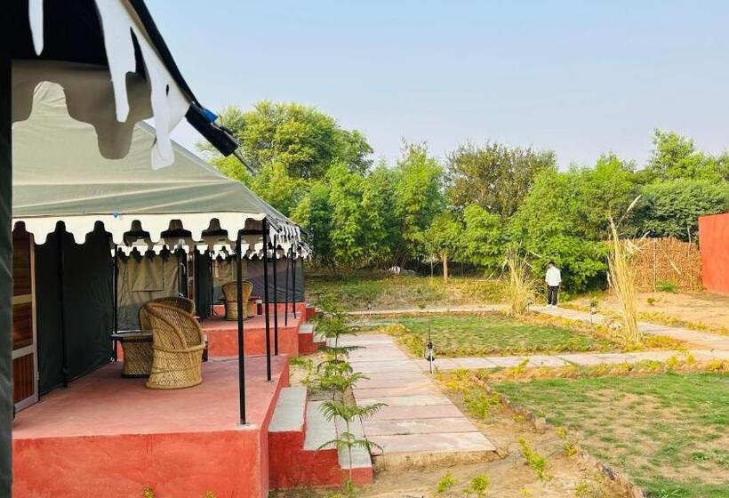 标准间, Pritampalace Resort