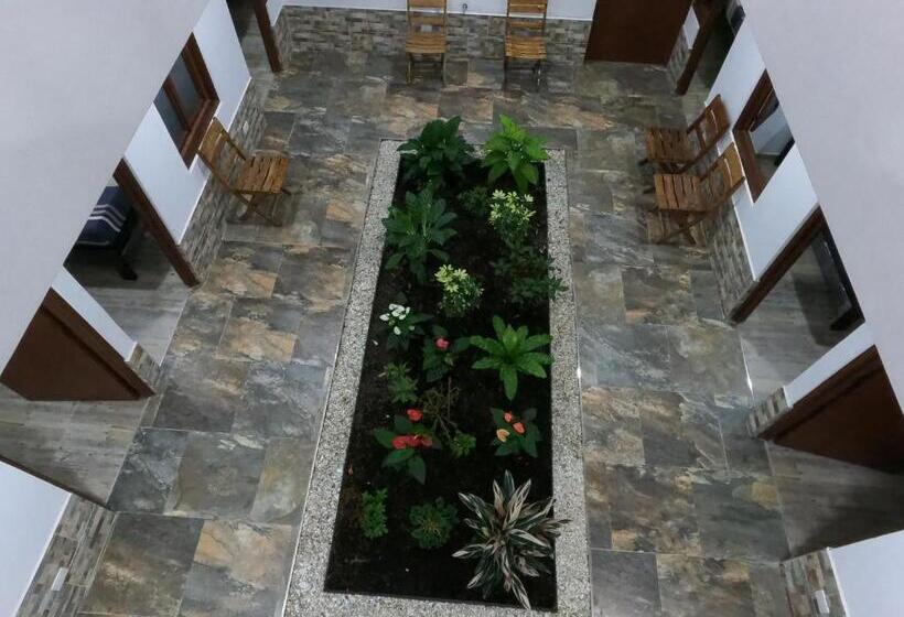 Студия Стандарт, Colonial