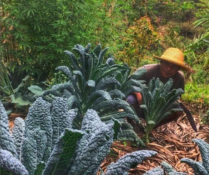 Номер Стандарт Вид на Бассейн, Petrichor   Regenerative Living Experience