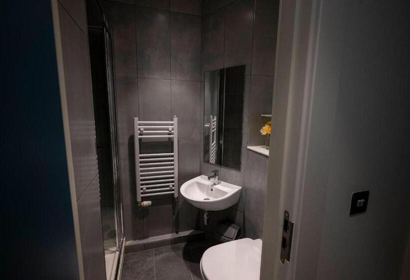 Номер Deluxe, University Of Galway Rooms