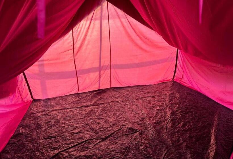 经典四人房间, Green Meadows Eco Camp
