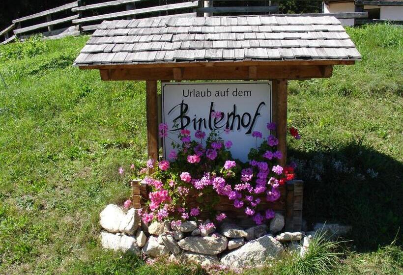 Апартаменты 2 Спальни, Binterhof