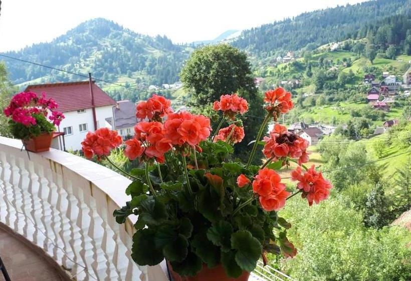 اتاق استاندارد سه نفره, Pensiunea Casa Bradet