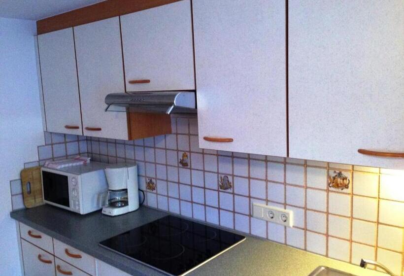 آپارتمان 2 خوابه با بالکن, Haus Morgensonne