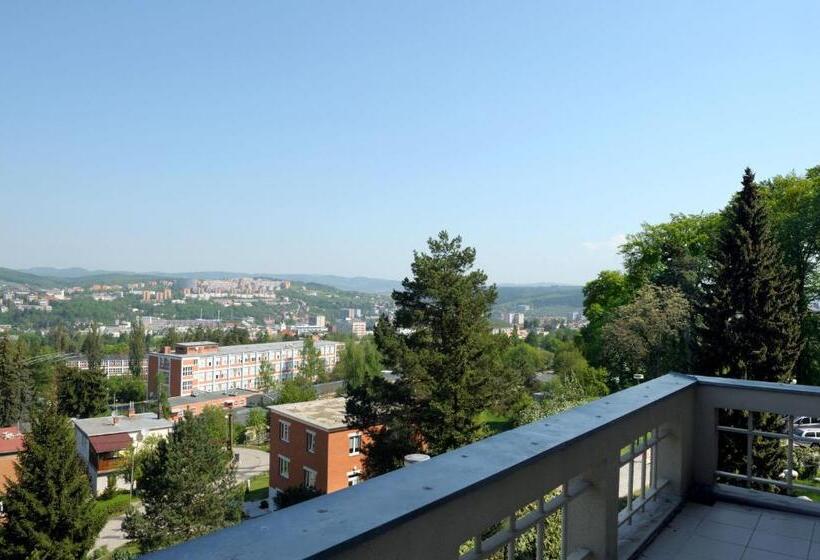 Suite with Terrace, Tomášov