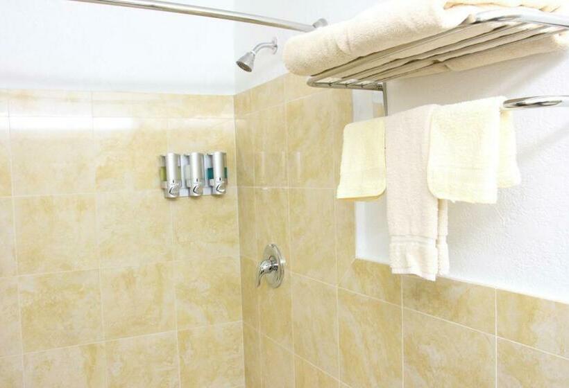 스탠다드 룸 킹사이즈 침대, Budget Inn Lake Wales