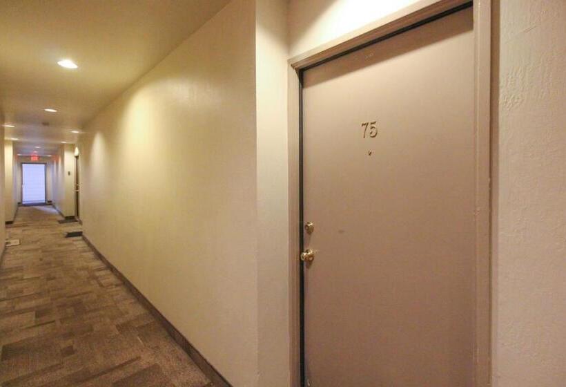 Студия Стандарт, St. Moritz 75