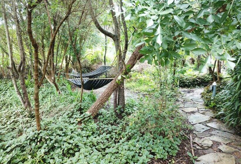 Номер Стандарт, Mali Boutique Lodge & Tube  N Axe Budget Accommodation