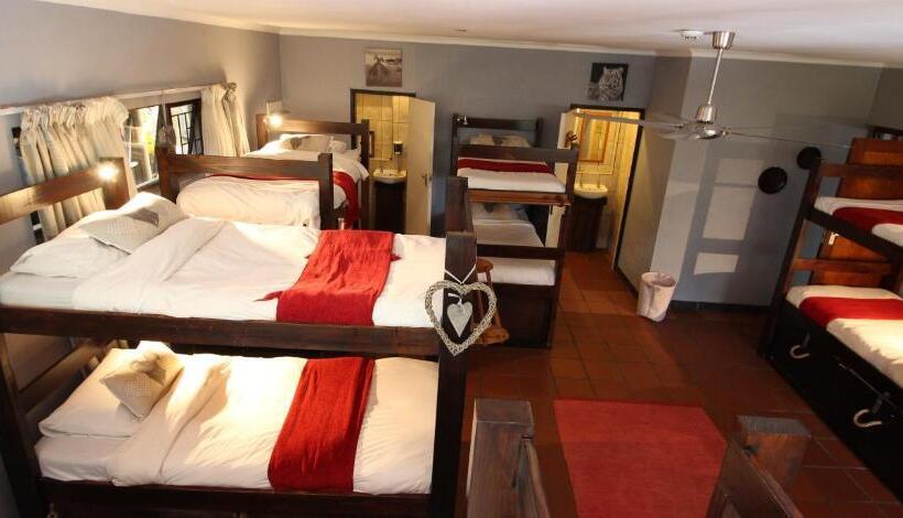 Кровать в Общей Комнате, Mali Boutique Lodge & Tube  N Axe Budget Accommodation