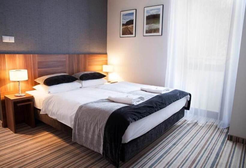 Номер Стандарт, Montis Hotel & Spa