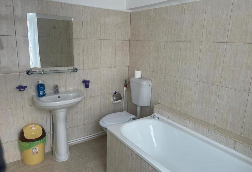 استودیوی استاندارد, Complex Garsoniere. Studio Rentals