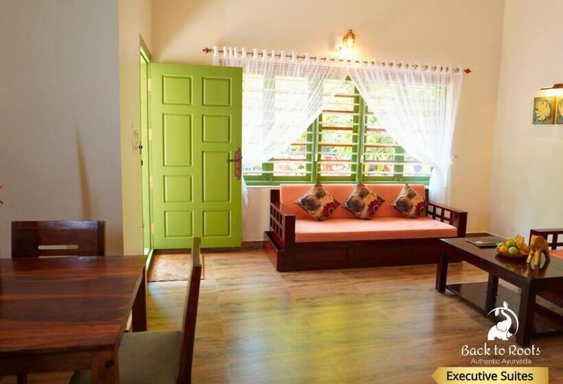 Президентский Люкс, Back To Roots Ayurveda Retreat