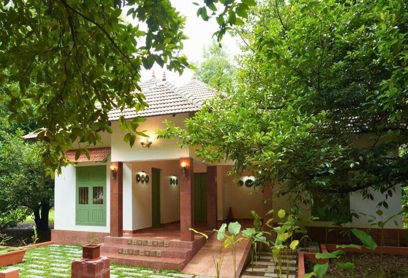 Полулюкс, Back To Roots Ayurveda Retreat