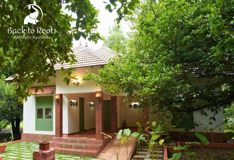 Полулюкс, Back To Roots Ayurveda Retreat