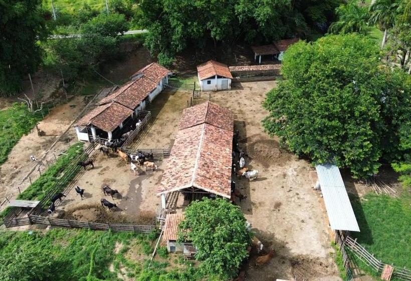 4인용 스탠다드 룸, Fazenda Dos Coqueiros Bananal Sp
