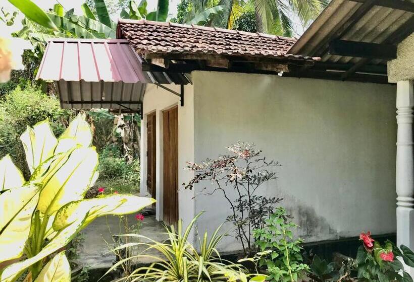 Номер Стандарт, Lucky S Homestay