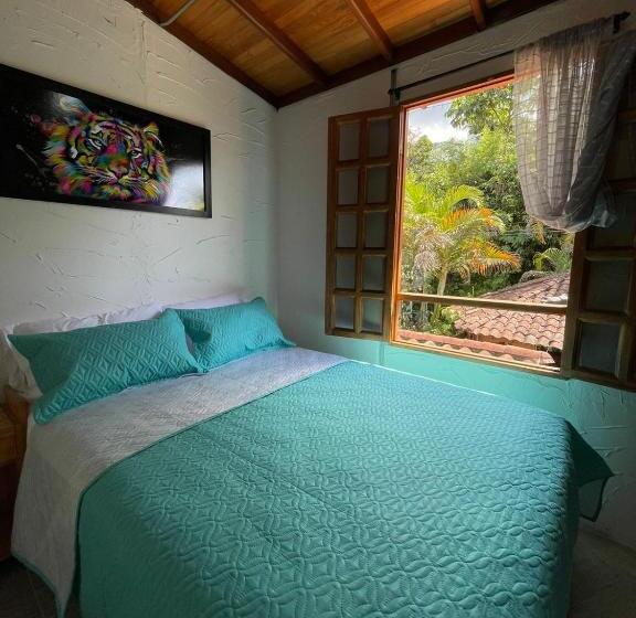 스탠다드 룸, Xplora Hostel