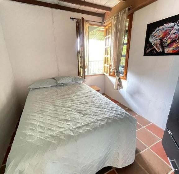 스탠다드 싱글 룸, Xplora Hostel