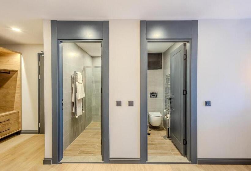 Студия Стандарт, Leli̇ko Suites