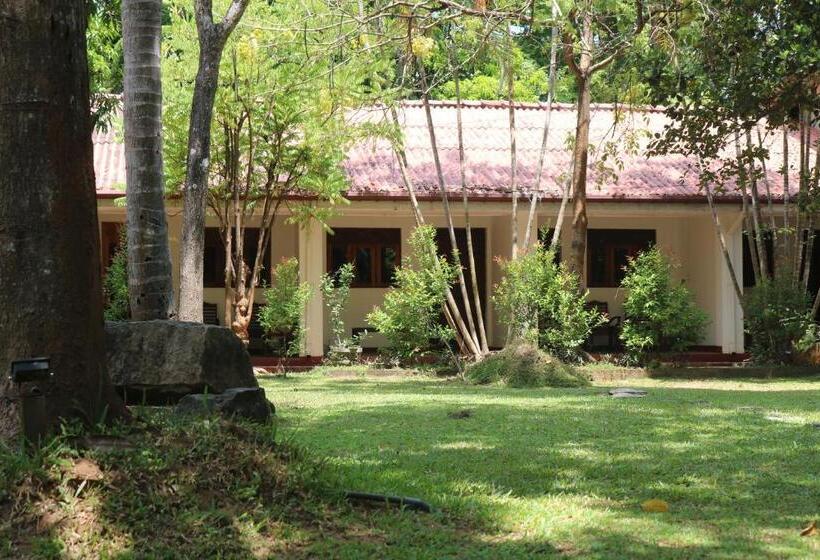 חדר סטנדרט לשלושה, Polonnaruwa Holiday Inn