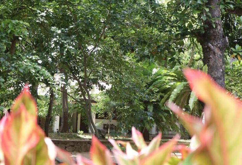 חדר אקונומי, Polonnaruwa Holiday Inn