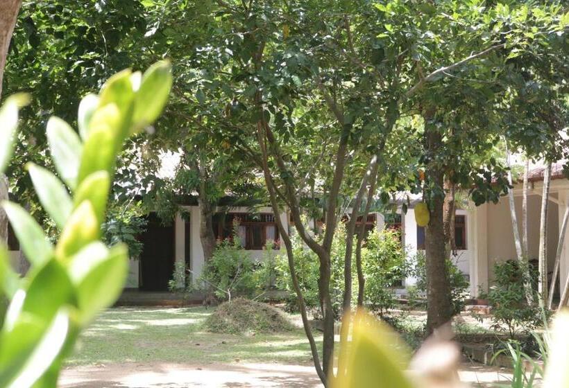 חדר אקונומי, Polonnaruwa Holiday Inn