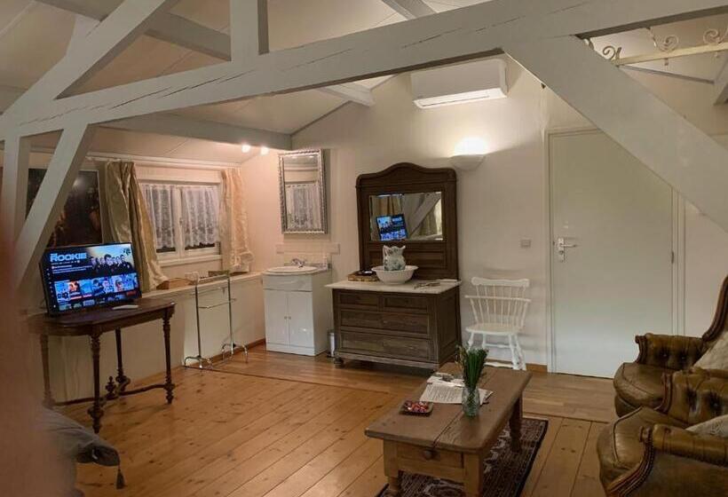 Трехместный Президентский, B&b Petit Chateau   Stijlvol Verblijf Voor Werk En Ontspanning