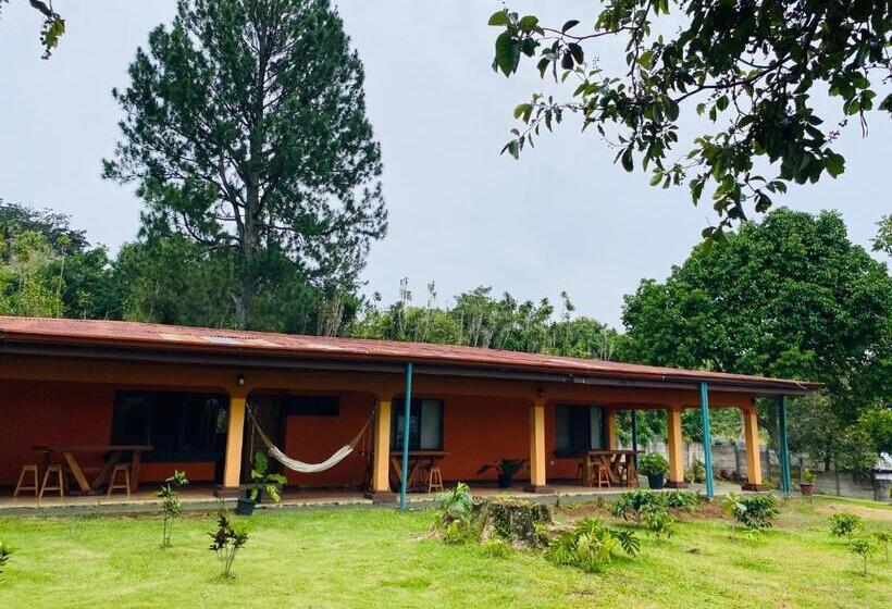 Номер Стандарт, Casa Mano De Tigre