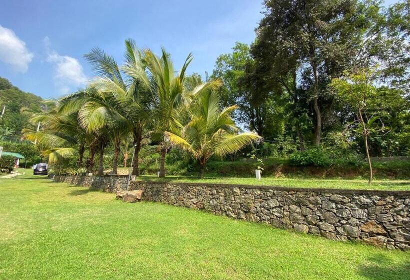 اتاق خانوادگی با چشم‌انداز کوه, Sobaway Resorts