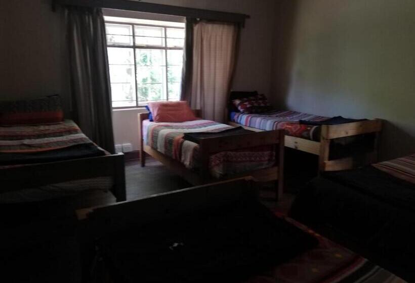 공동 객실, Pmb Backpackers Lodge