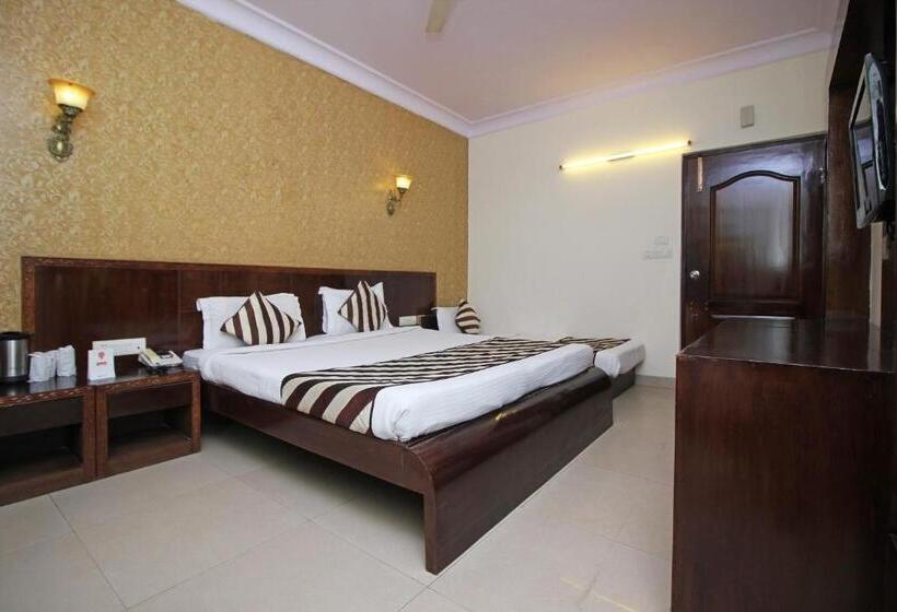 Номер Superior, Roshan Haveli