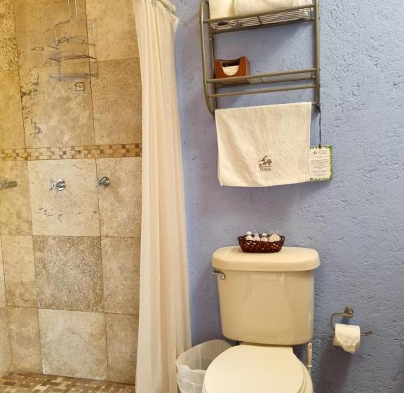 Standard Studio Kingsize Seng, Posada El Canto Del Cenzontle