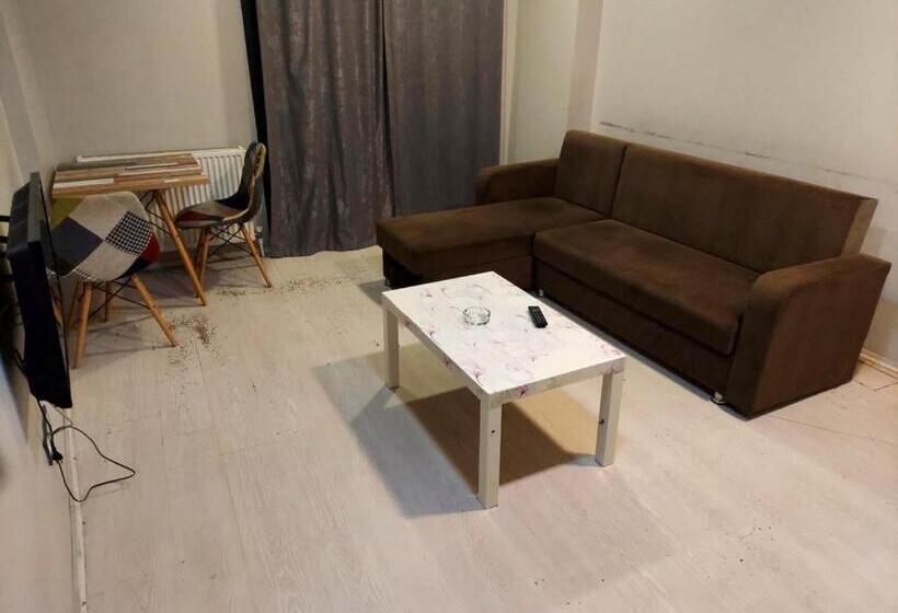 آپارتمان 1 خوابه, Crux Suite