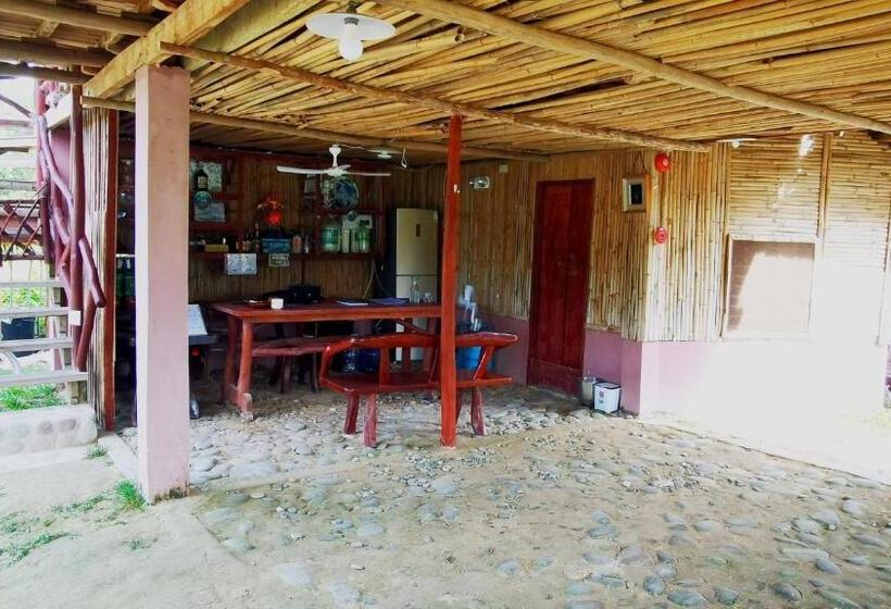 Номер Стандарт, Dreamer Resort