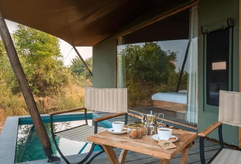Номер Стандарт Вид на Бассейн, Trees N Tigers, Tadoba