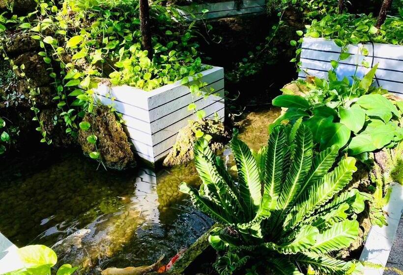 Полулюкс с Бассейном, D Eco Wellness Luxury