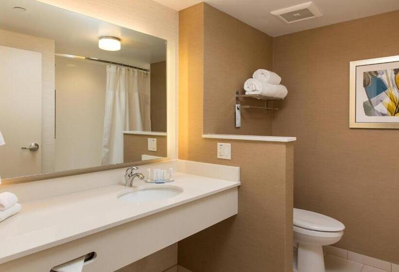Люкс, Fairfield Inn & Suites By Marriott Sacramento Folsom